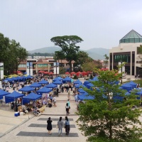 週日露天市集 Sunday Market - 2 .jpg
