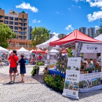 周日露天市集_Sunday Market.jpg