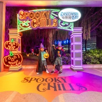 Spooky Pumpkin Forest Photo Spots (13).jpg