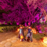Spooky Pumpkin Forest Photo Spots (9).jpg