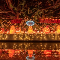 Spooky Pumpkin Forest Photo Spots (4).jpg