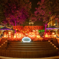Spooky Pumpkin Forest Photo Spots (5).jpg