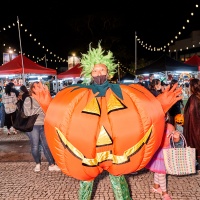 DB Halloween Pumpkin Mascot_DSC09868.jpg